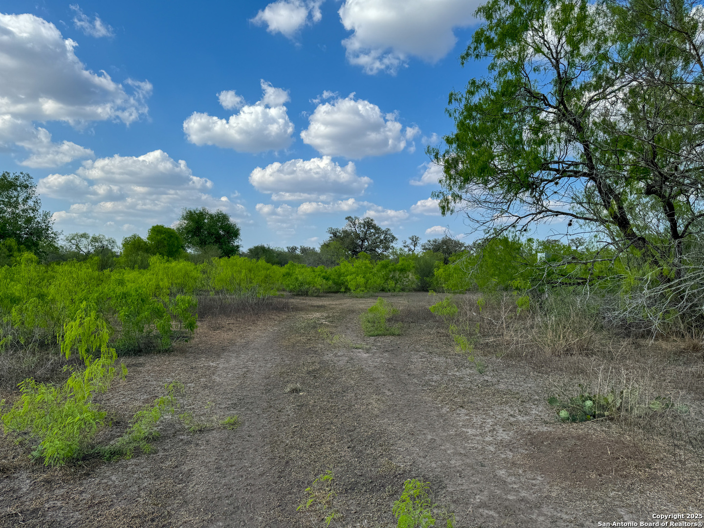 00 King Lane Beeville TX 78102