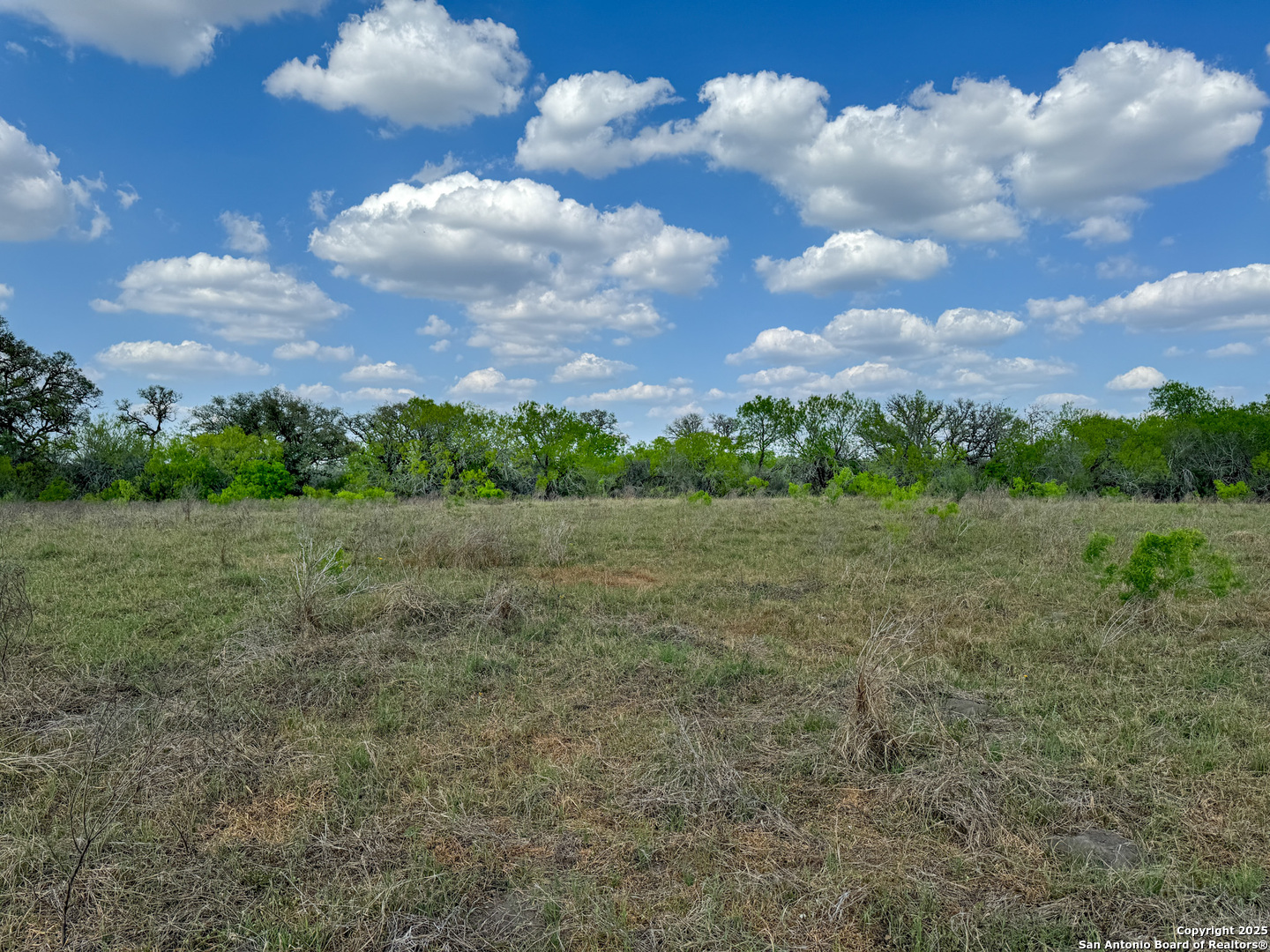 00 King Lane Beeville TX 78102