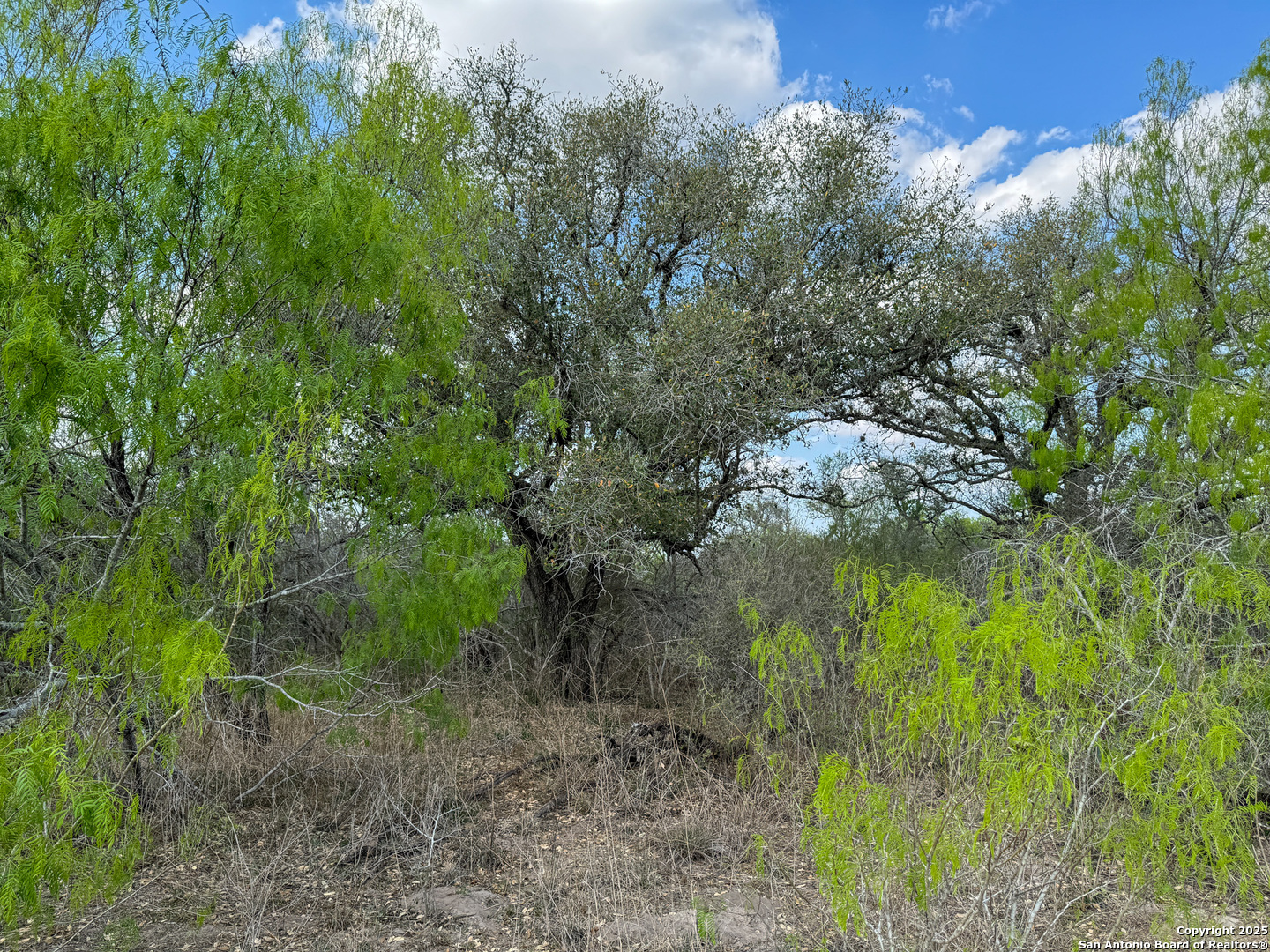 00 King Lane Beeville TX 78102