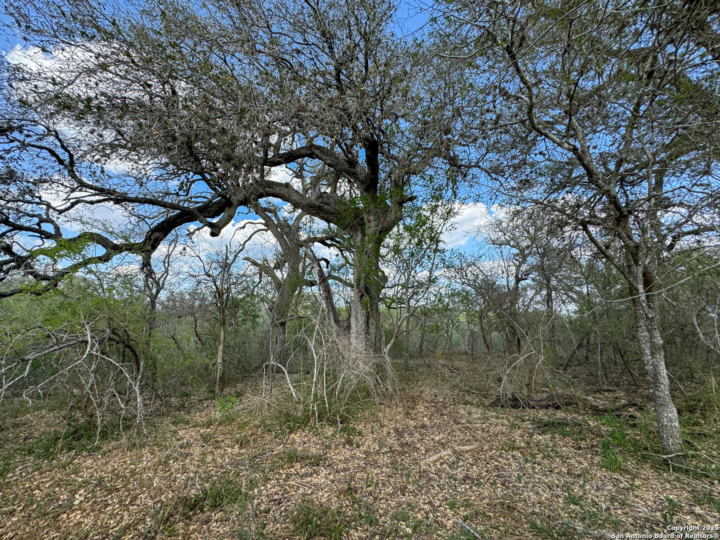 00 King Lane Beeville TX 78102