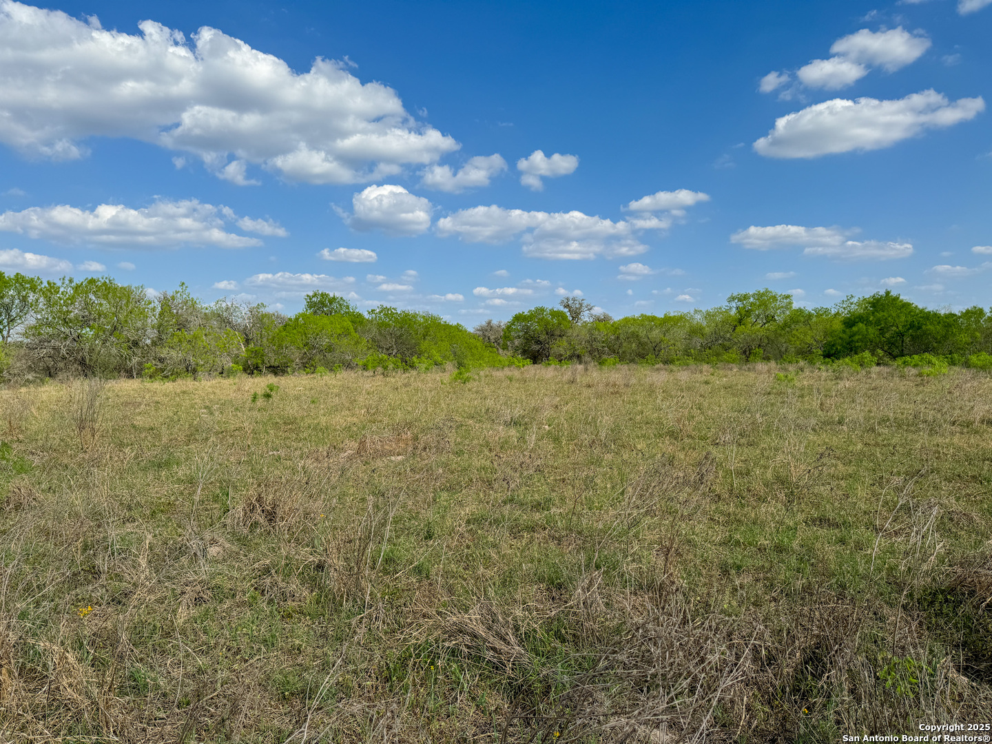 00 King Lane Beeville TX 78102