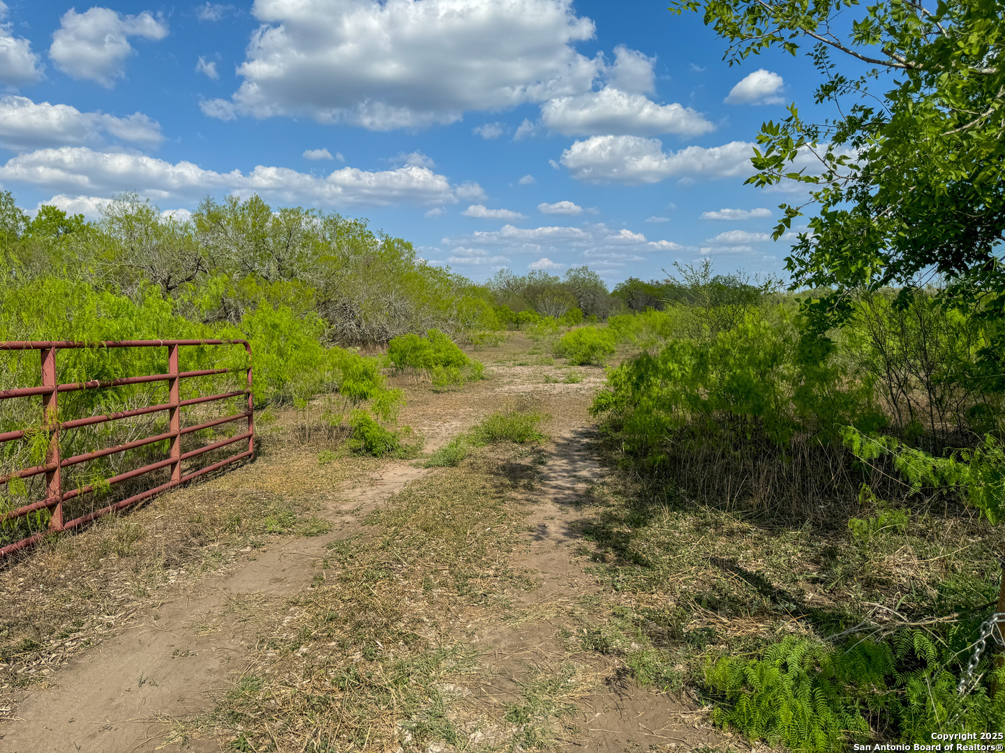 00 King Lane Beeville TX 78102
