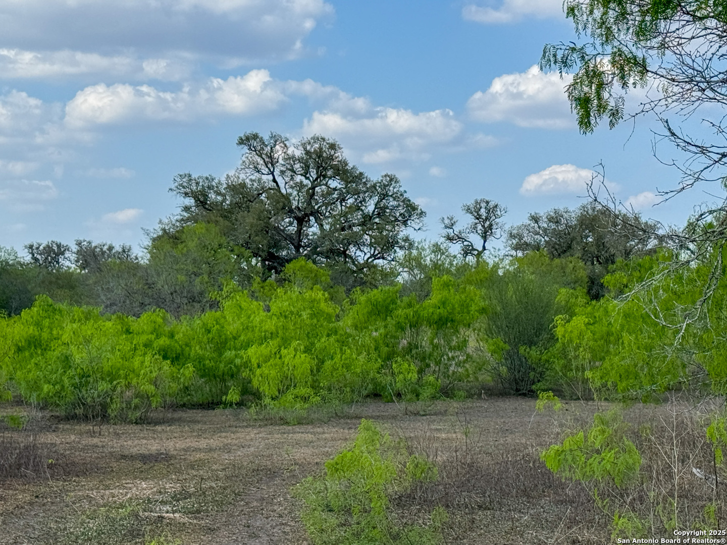 00 King Lane Beeville TX 78102