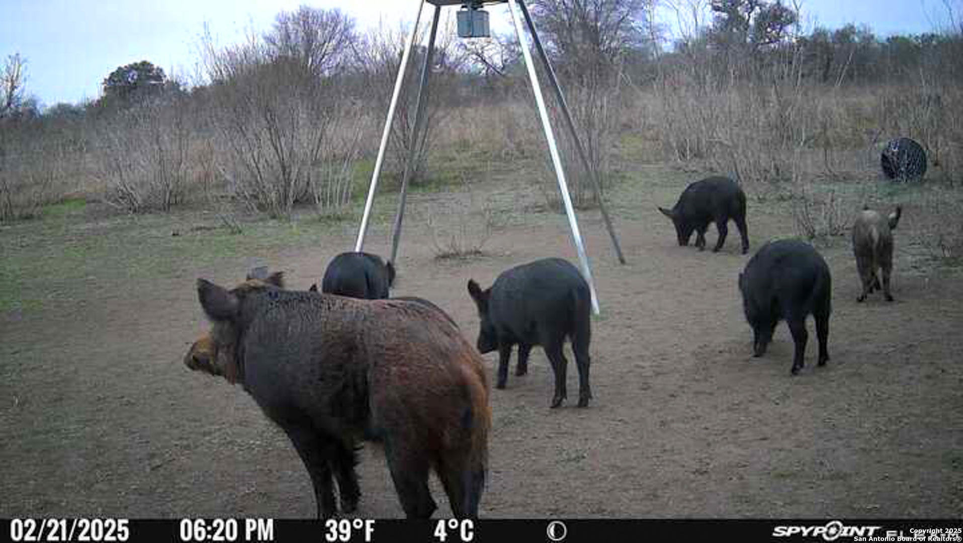 00 King Lane Beeville TX 78102