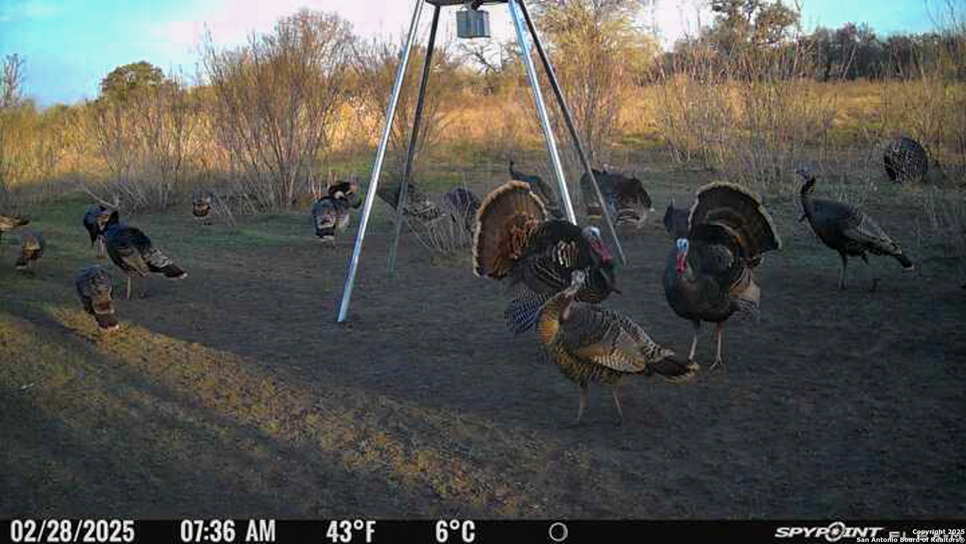 00 King Lane Beeville TX 78102