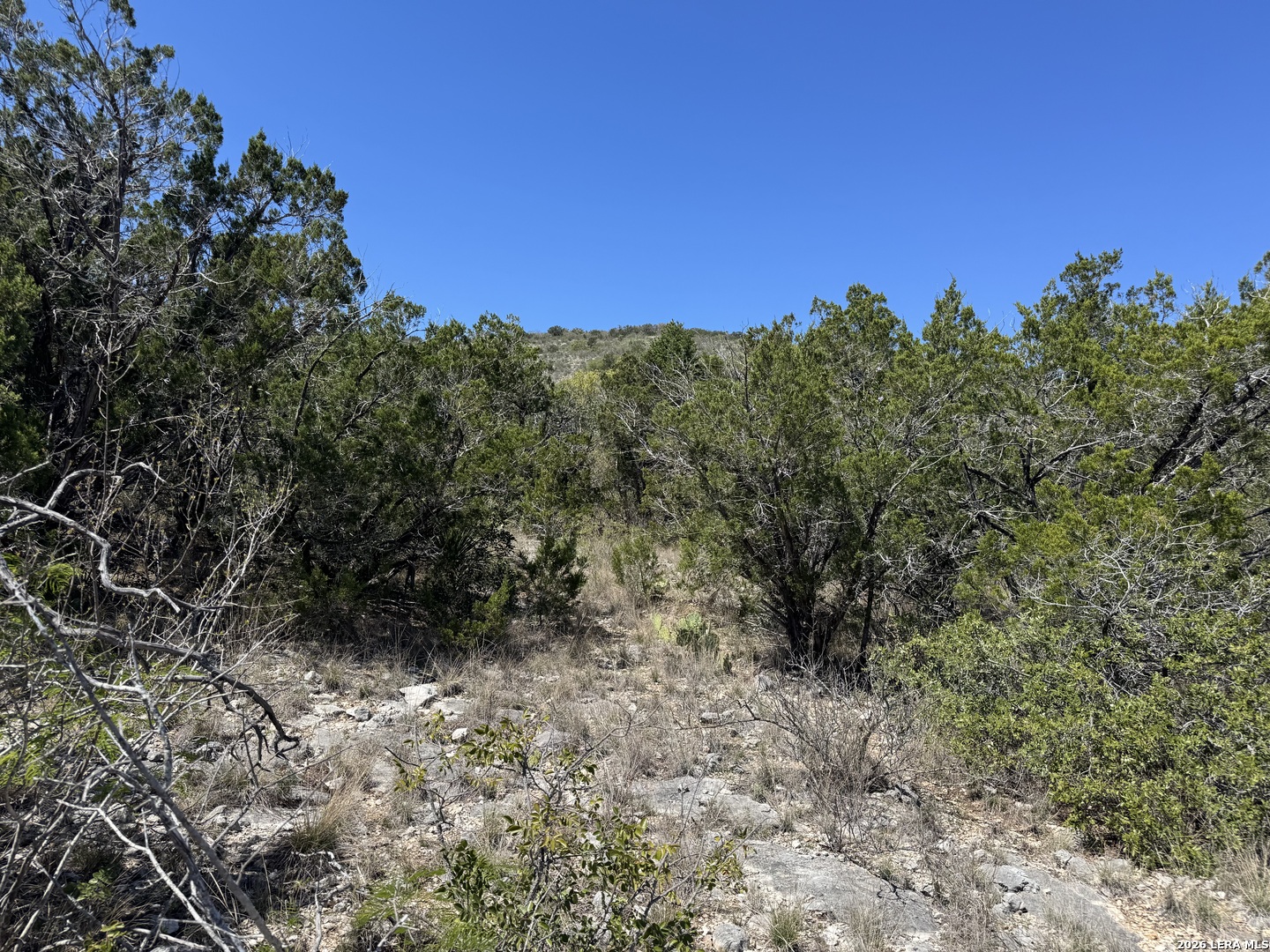 2325 Private Road 2700 Uvalde TX 78801