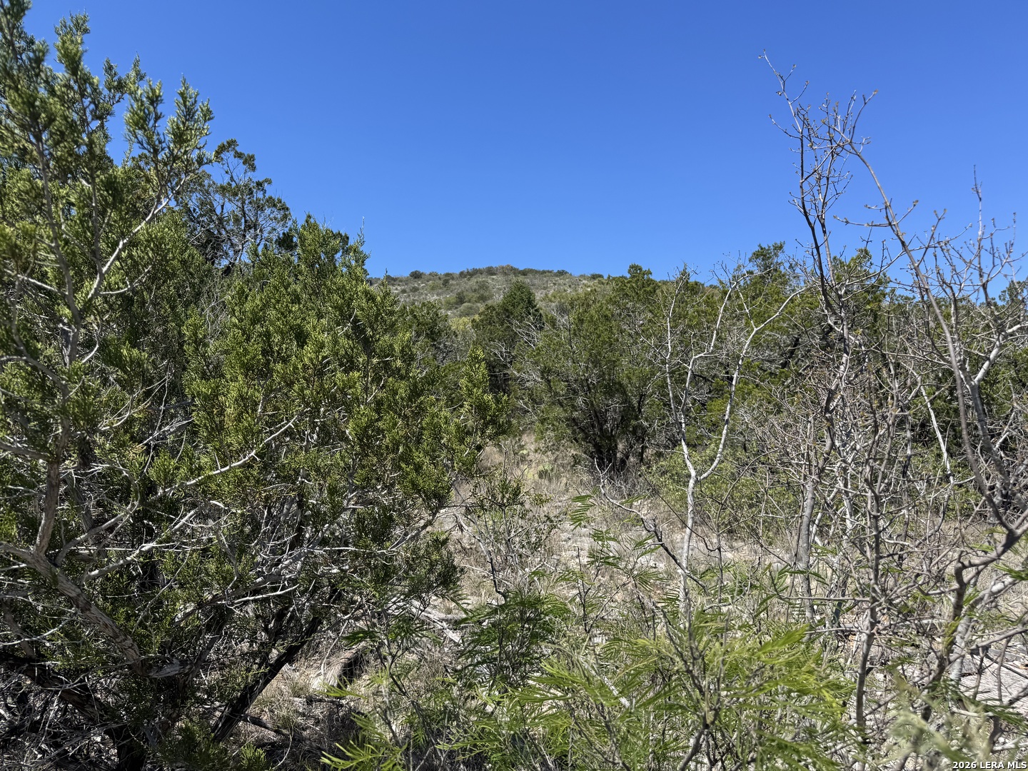 2325 Private Road 2700 Uvalde TX 78801