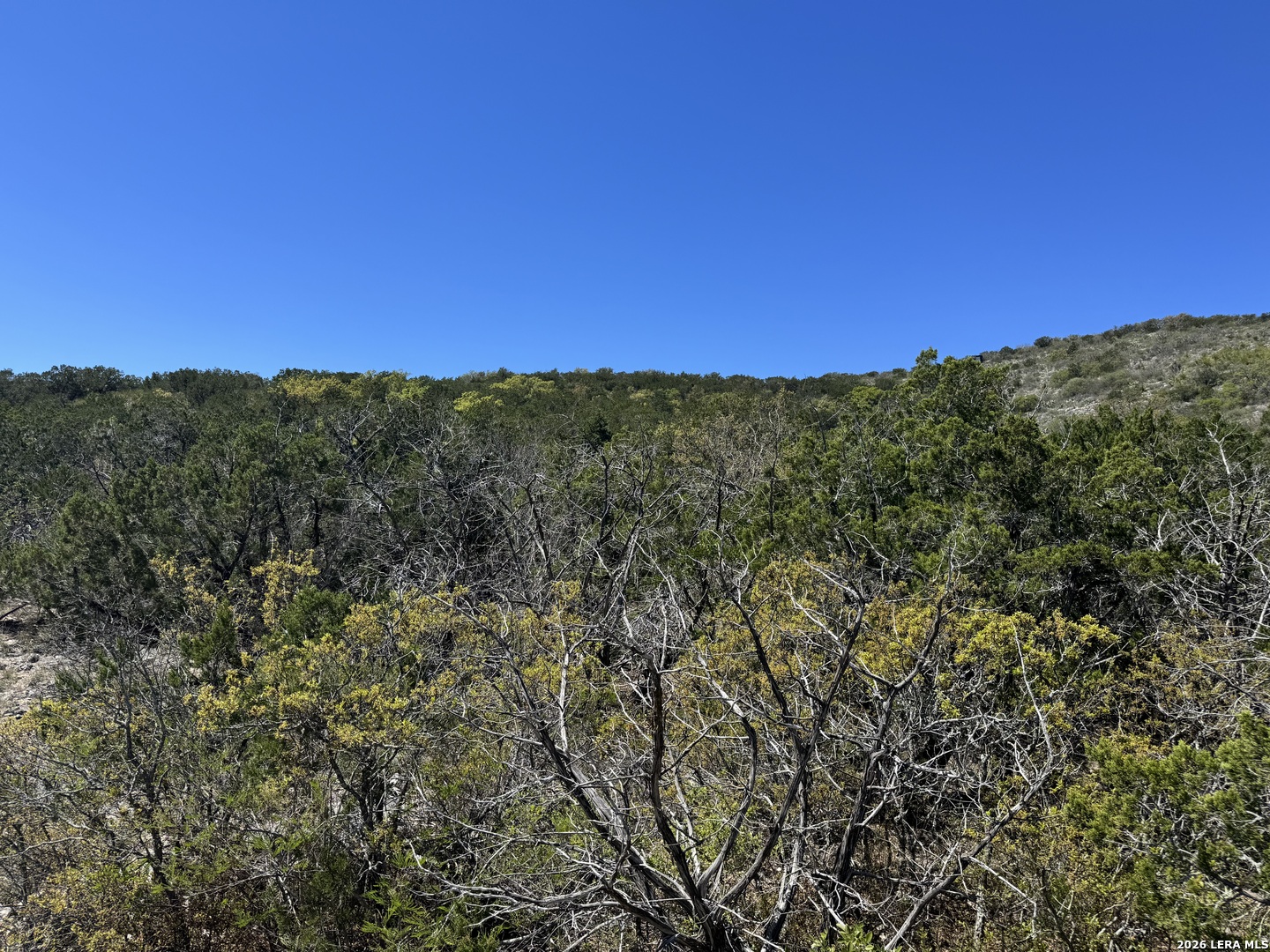 2325 Private Road 2700 Uvalde TX 78801