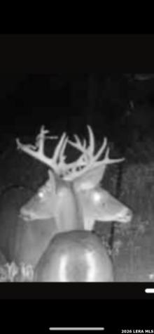 8933 County Road 401 Floresville TX 78114