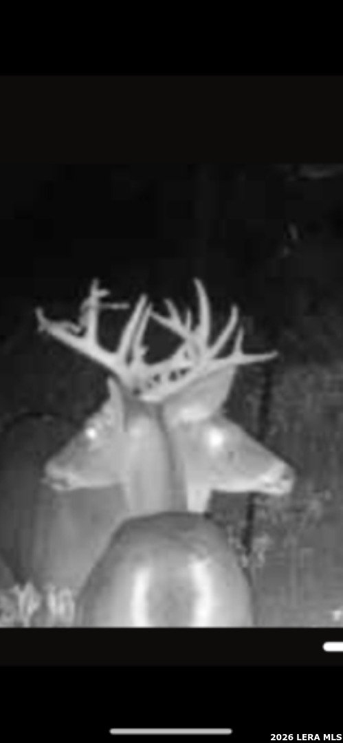 8933 County Road 401 Floresville TX 78114