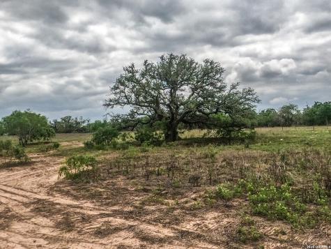 8933 County Road 401 Floresville TX 78114