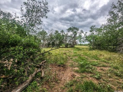 8933 County Road 401 Floresville TX 78114