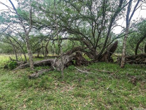 8933 County Road 401 Floresville TX 78114