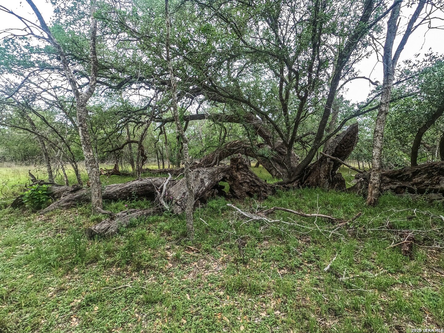 8933 County Road 401 Floresville TX 78114