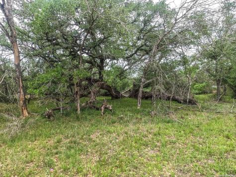 8933 County Road 401 Floresville TX 78114