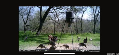 8933 County Road 401 Floresville TX 78114