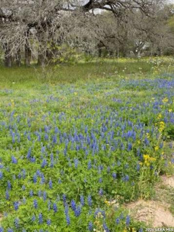 8933 County Road 401 Floresville TX 78114