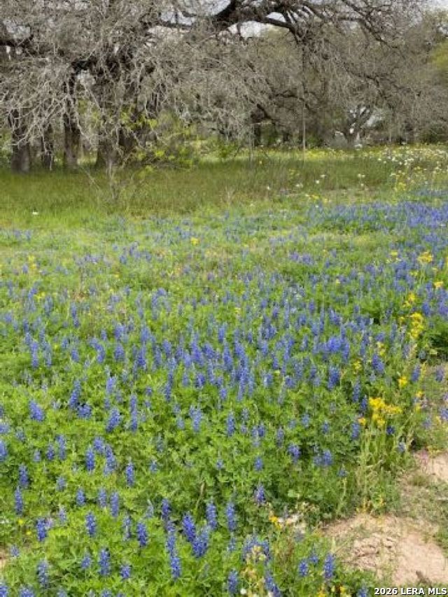 8933 County Road 401 Floresville TX 78114