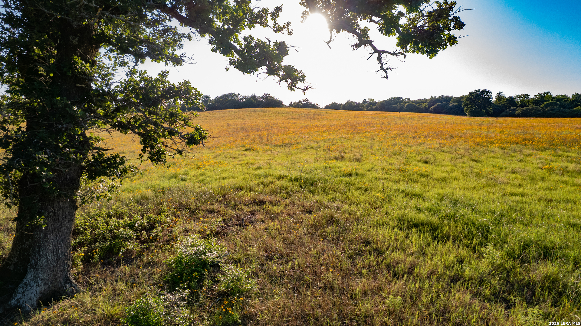 7323 Private Road 4173 Marquez TX 77865
