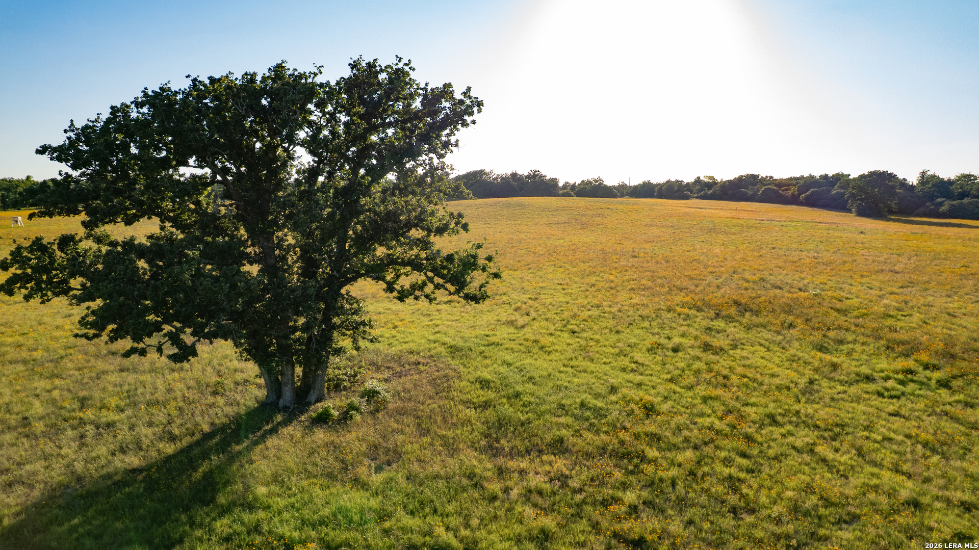 7323 Private Road 4173 Marquez TX 77865
