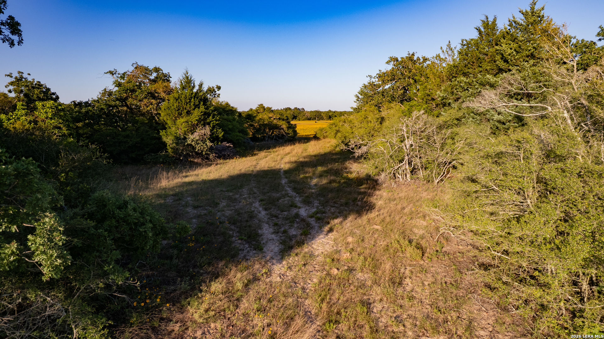 7323 Private Road 4173 Marquez TX 77865
