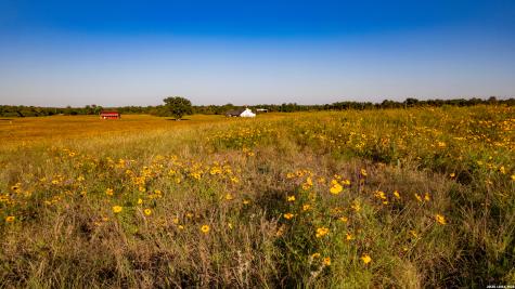 7323 Private Road 4173 Marquez TX 77865
