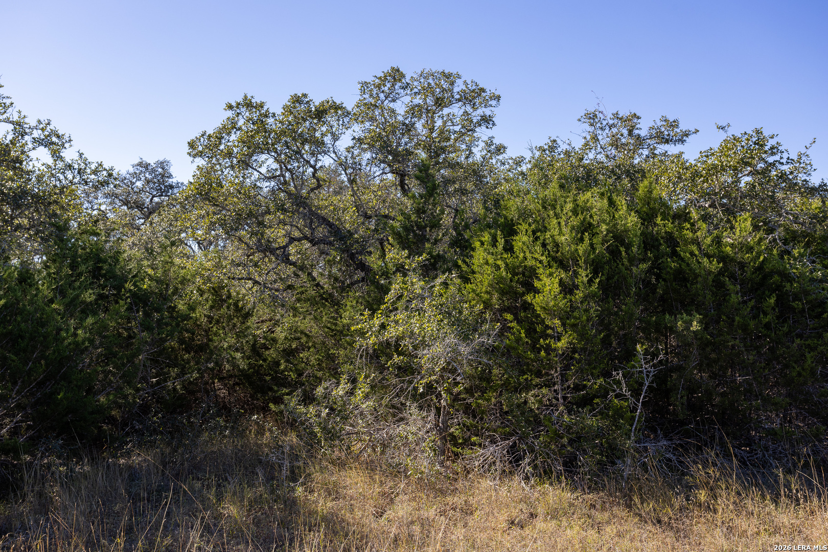 Block 3, Lot 10 Easy Money Boerne TX 78006