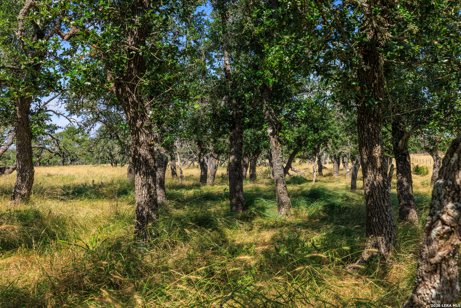 436 Stevens Ranch Fredericksburg TX 78624