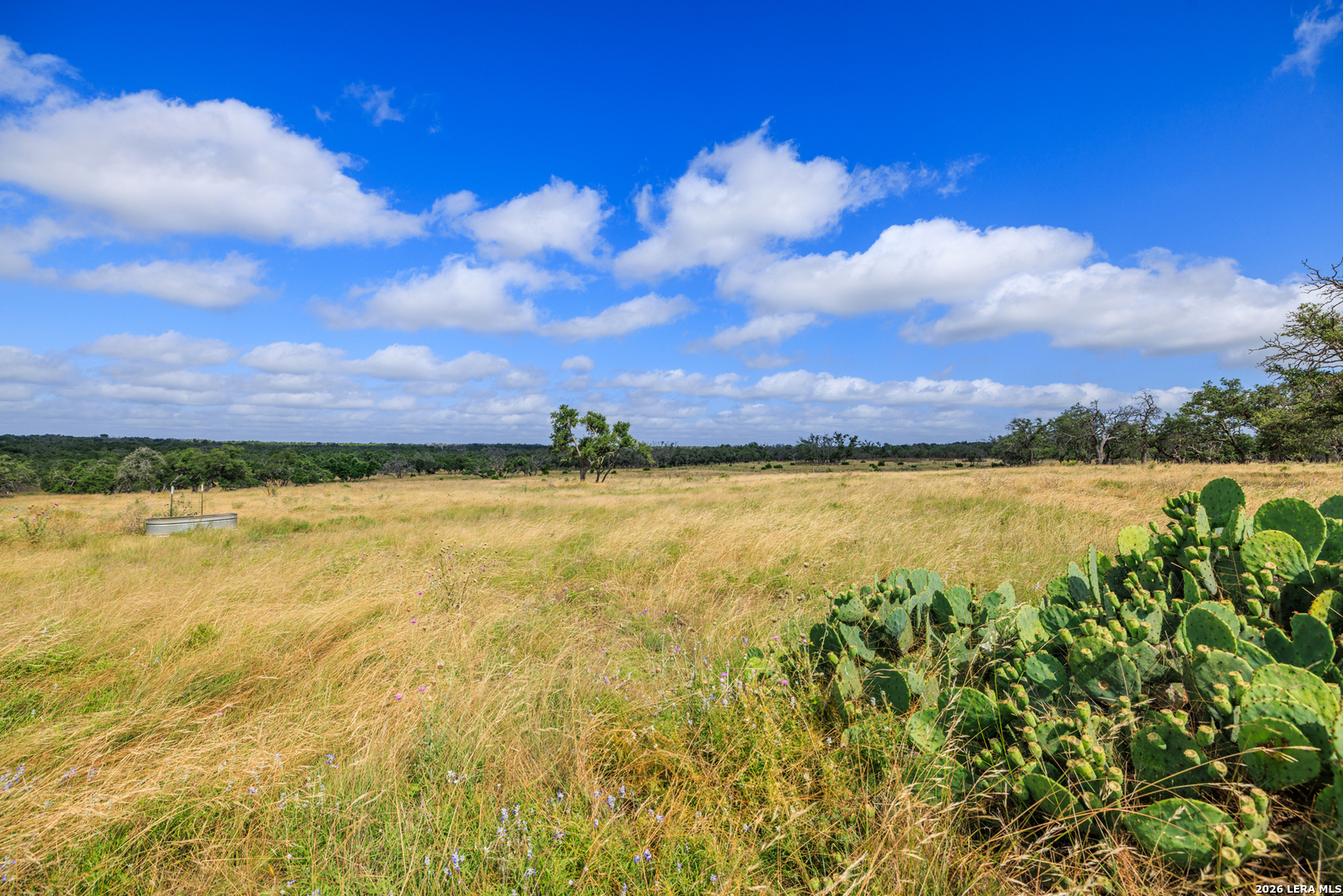 436 Stevens Ranch Fredericksburg TX 78624