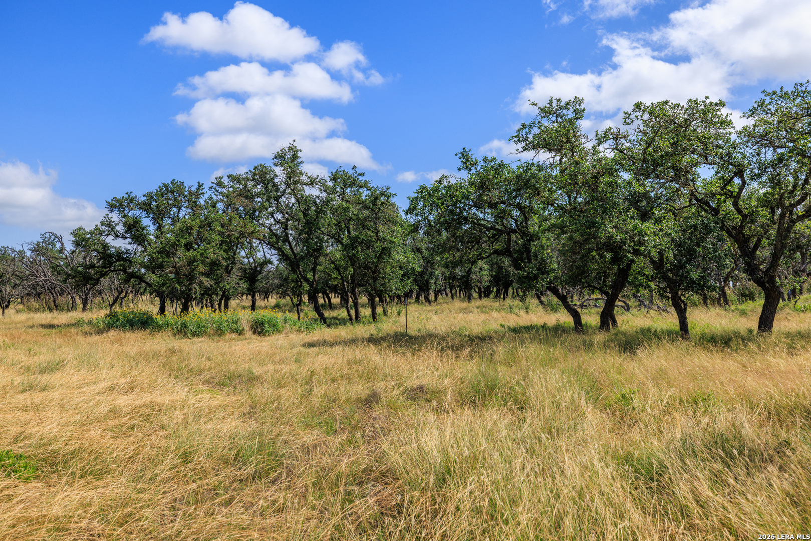 436 Stevens Ranch Fredericksburg TX 78624
