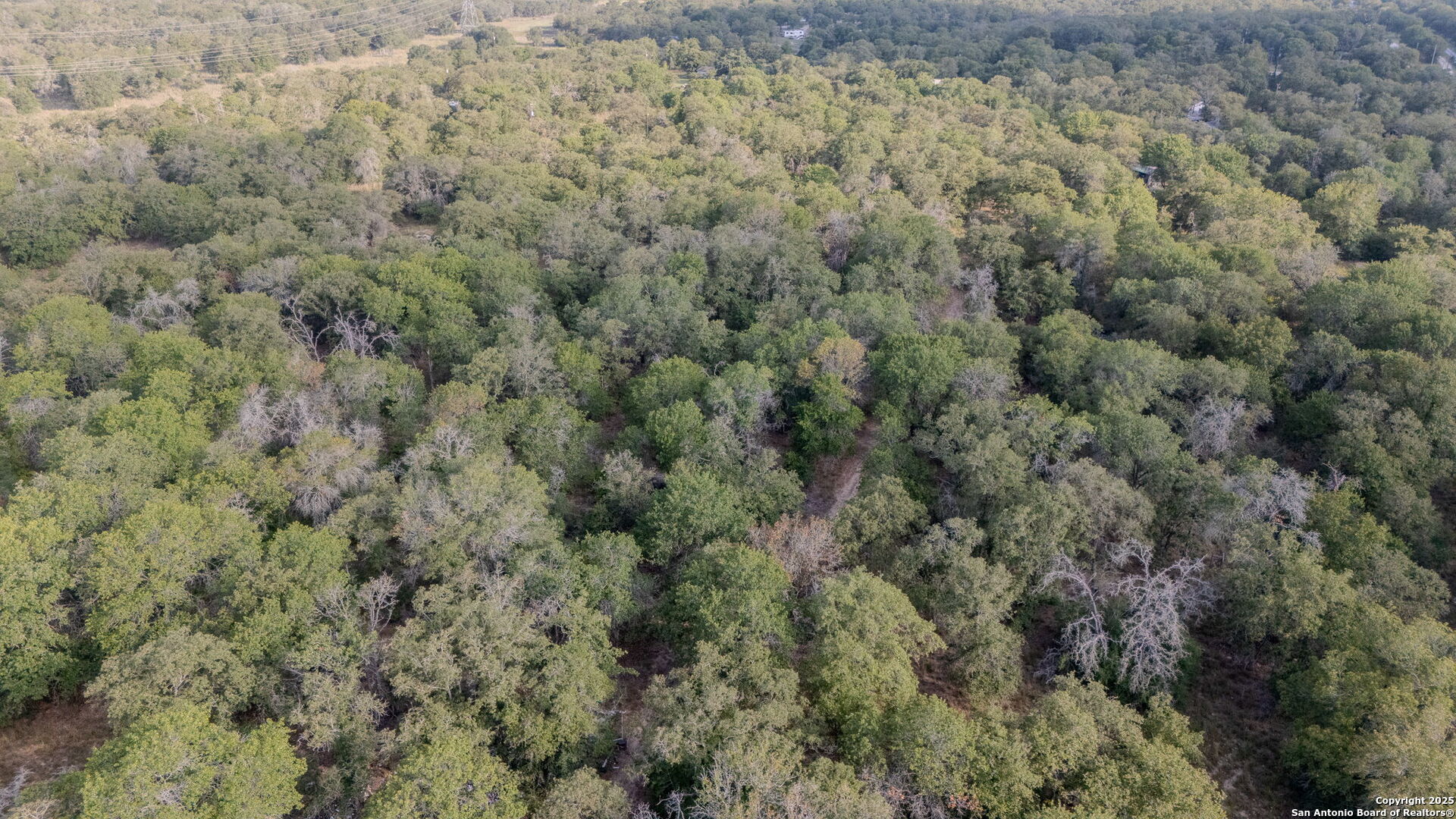3 Acres 337 Sandy Oaks Seguin TX 78155