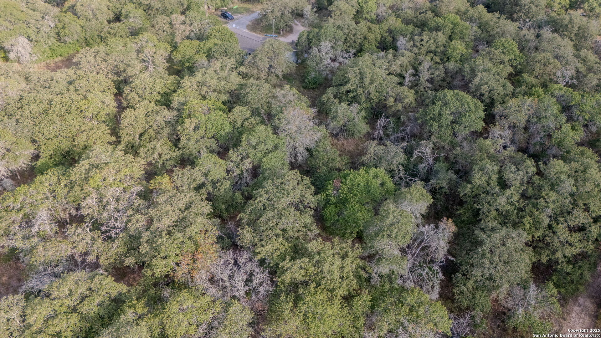 3 Acres 337 Sandy Oaks Seguin TX 78155
