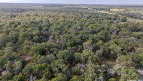 3 Acres 337 Sandy Oaks Seguin TX 78155