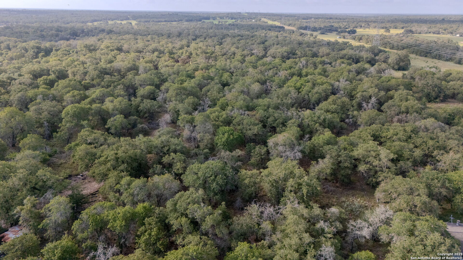 3 Acres 337 Sandy Oaks Seguin TX 78155