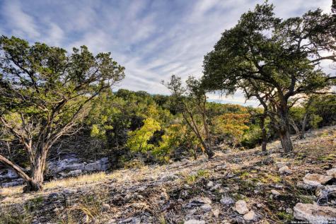 195 Wells Springs Drive Kerrville TX 78028