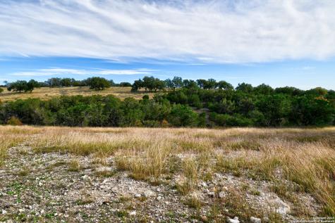 195 Wells Springs Drive Kerrville TX 78028