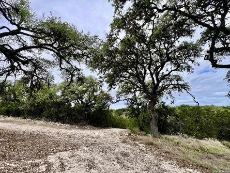 196 Dingley View Drive Kerrville TX 78028