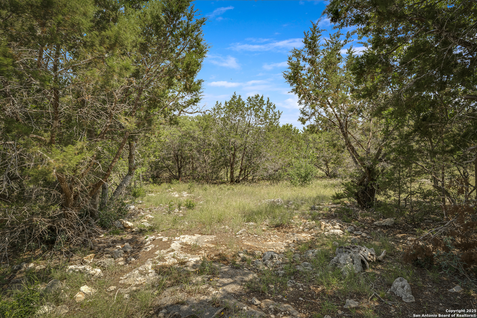 37 Sabinas Ridge Road Boerne TX 78006