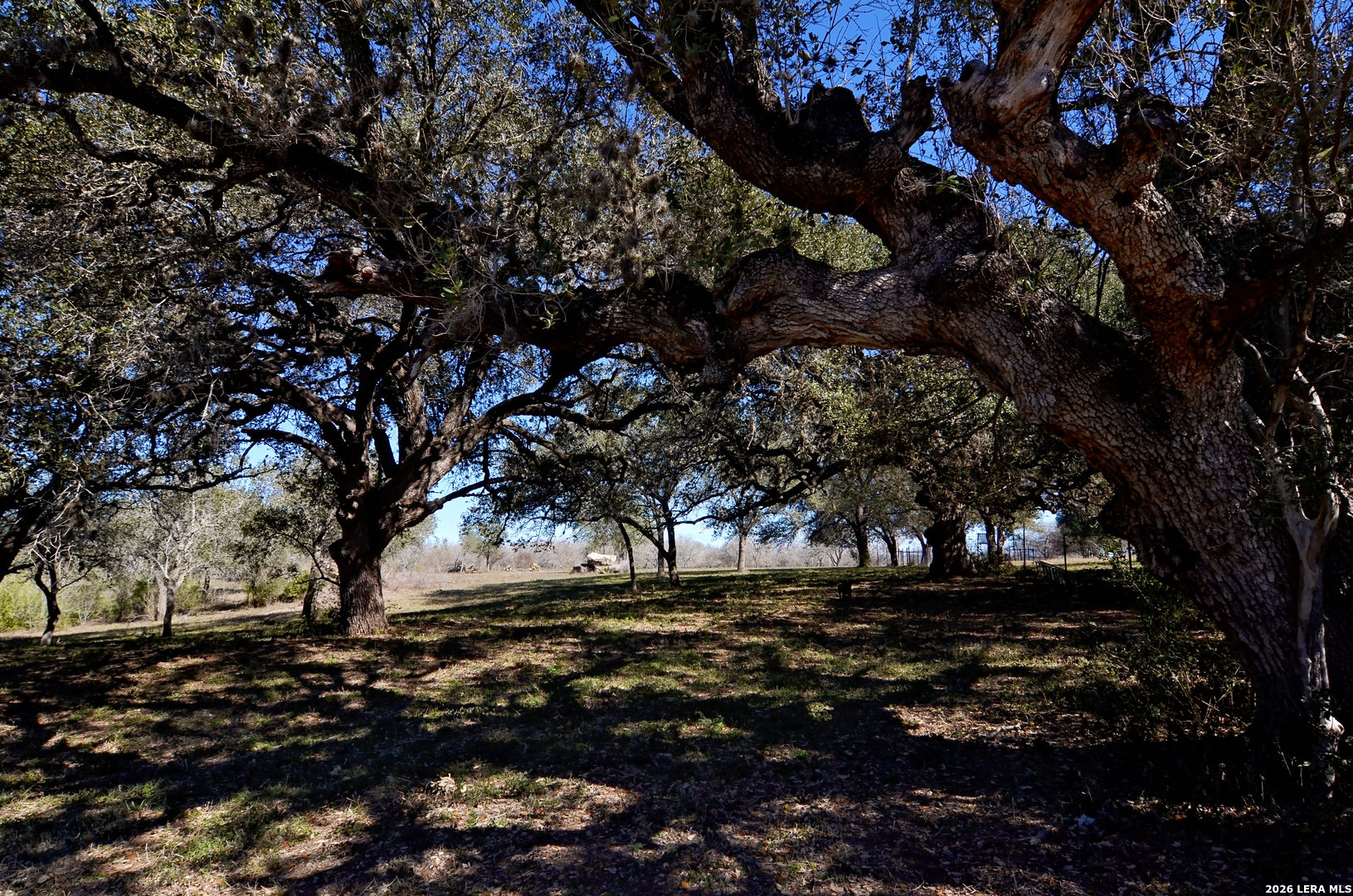 Tbd Highway 181 Beeville TX 78102