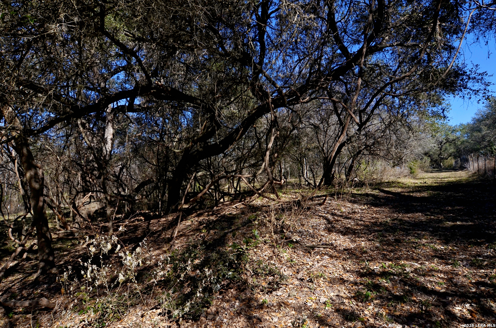 Tbd Highway 181 Beeville TX 78102