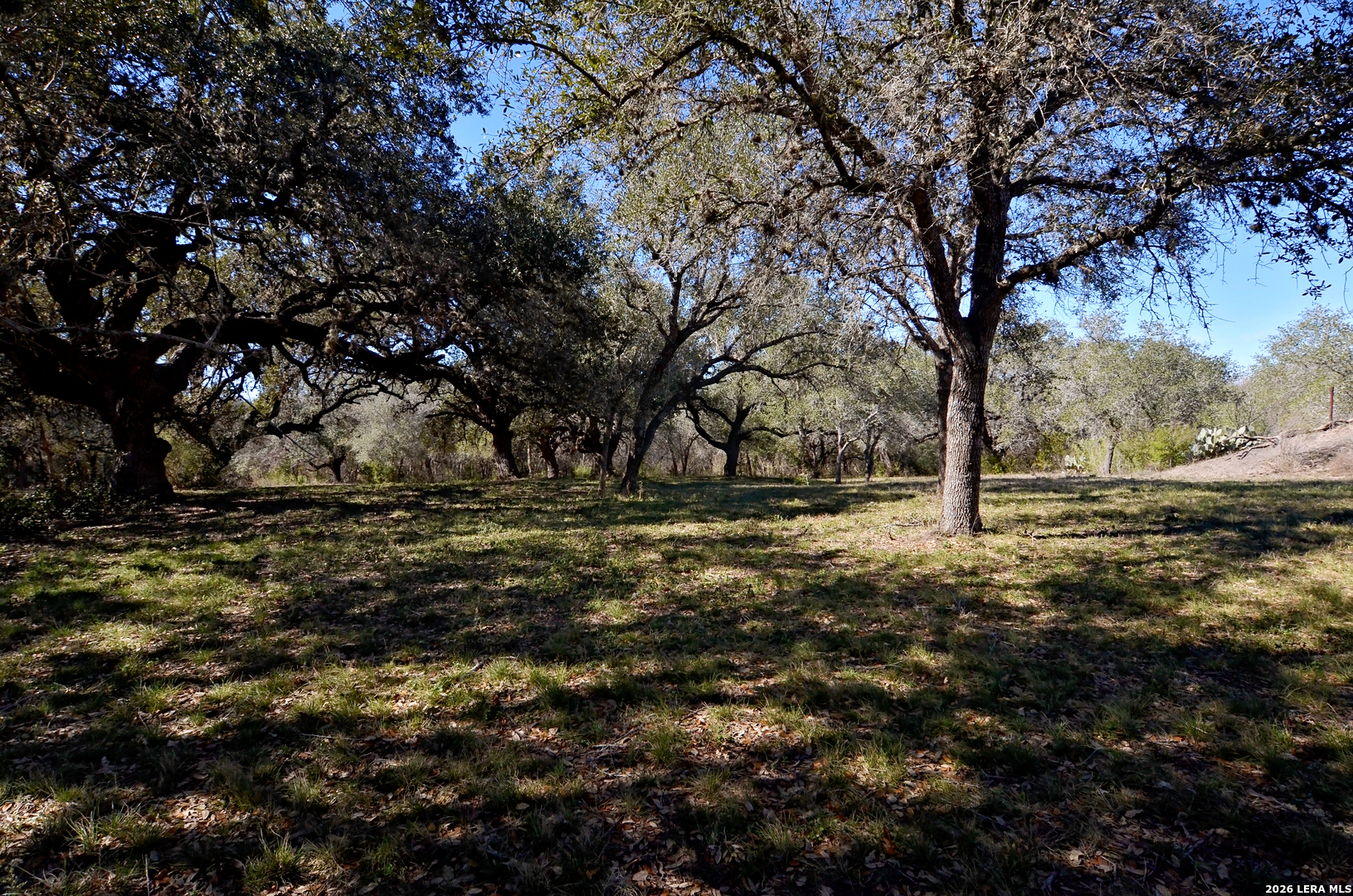 Tbd Highway 181 Beeville TX 78102