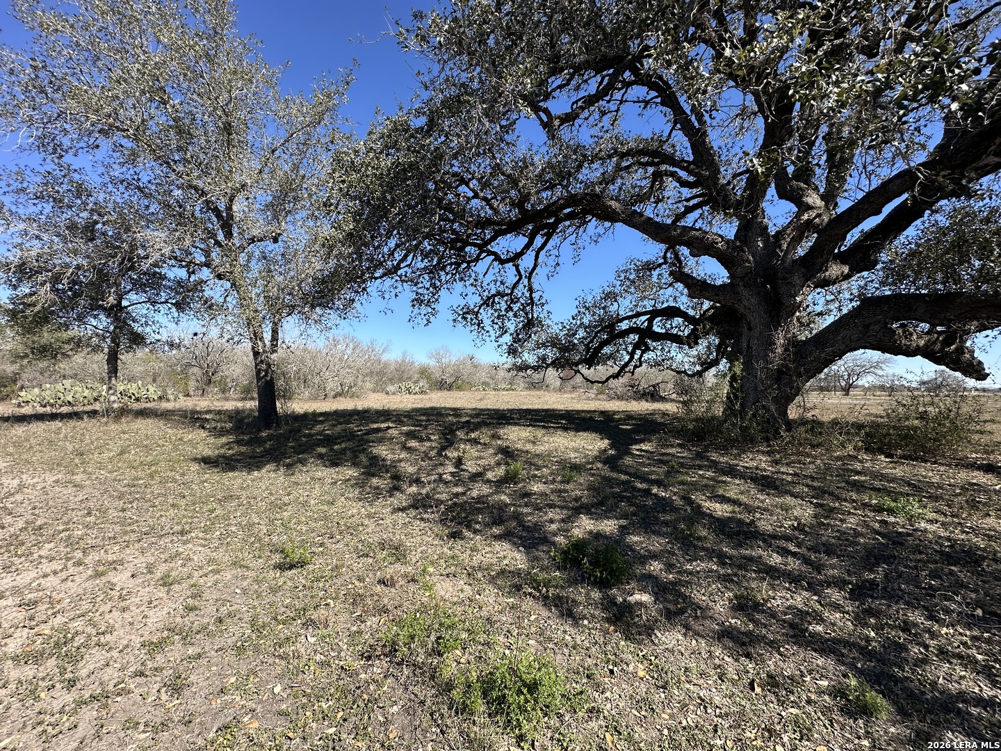 Tbd Highway 181 Beeville TX 78102