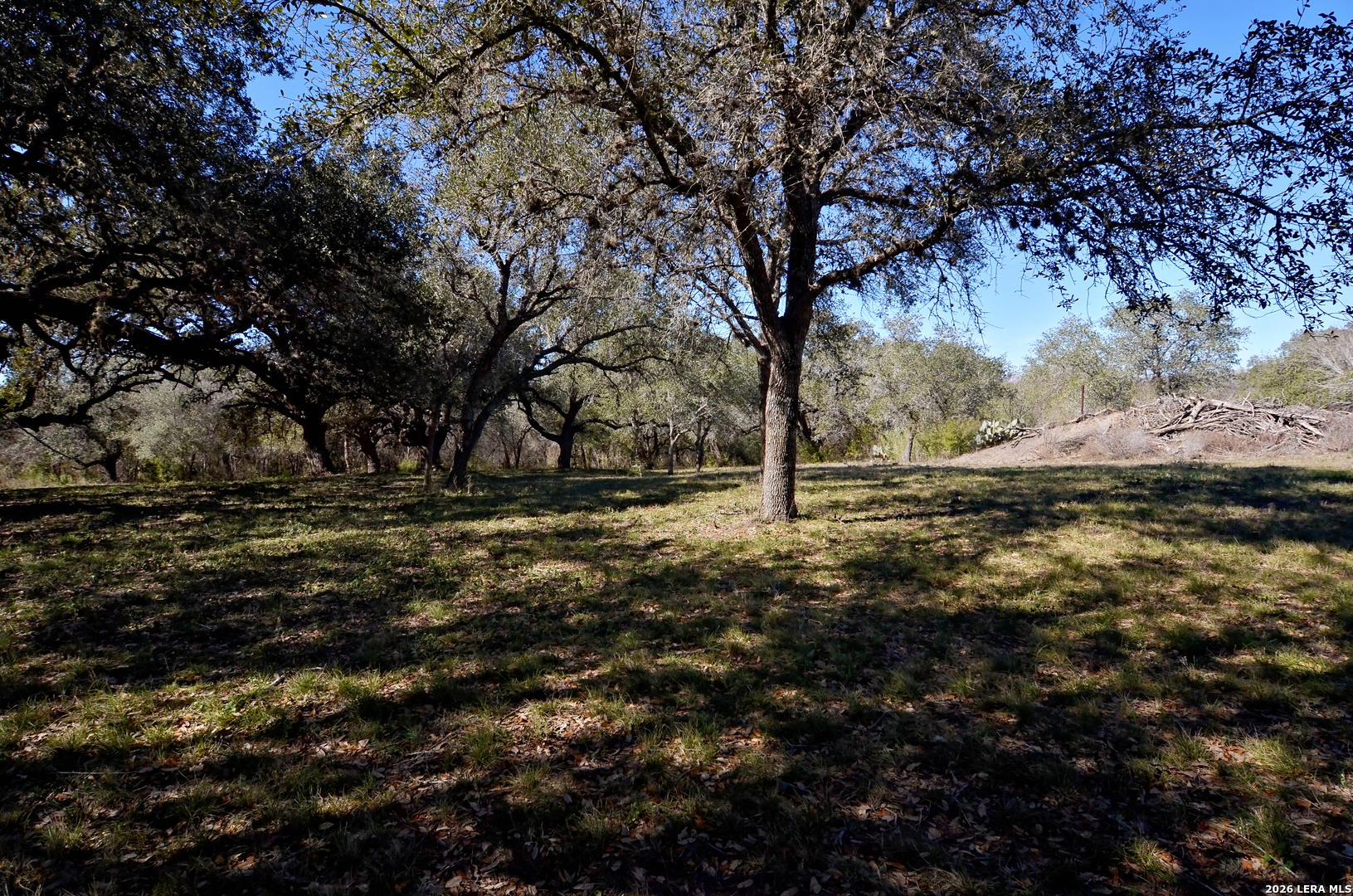 Tbd Highway 181 Beeville TX 78102