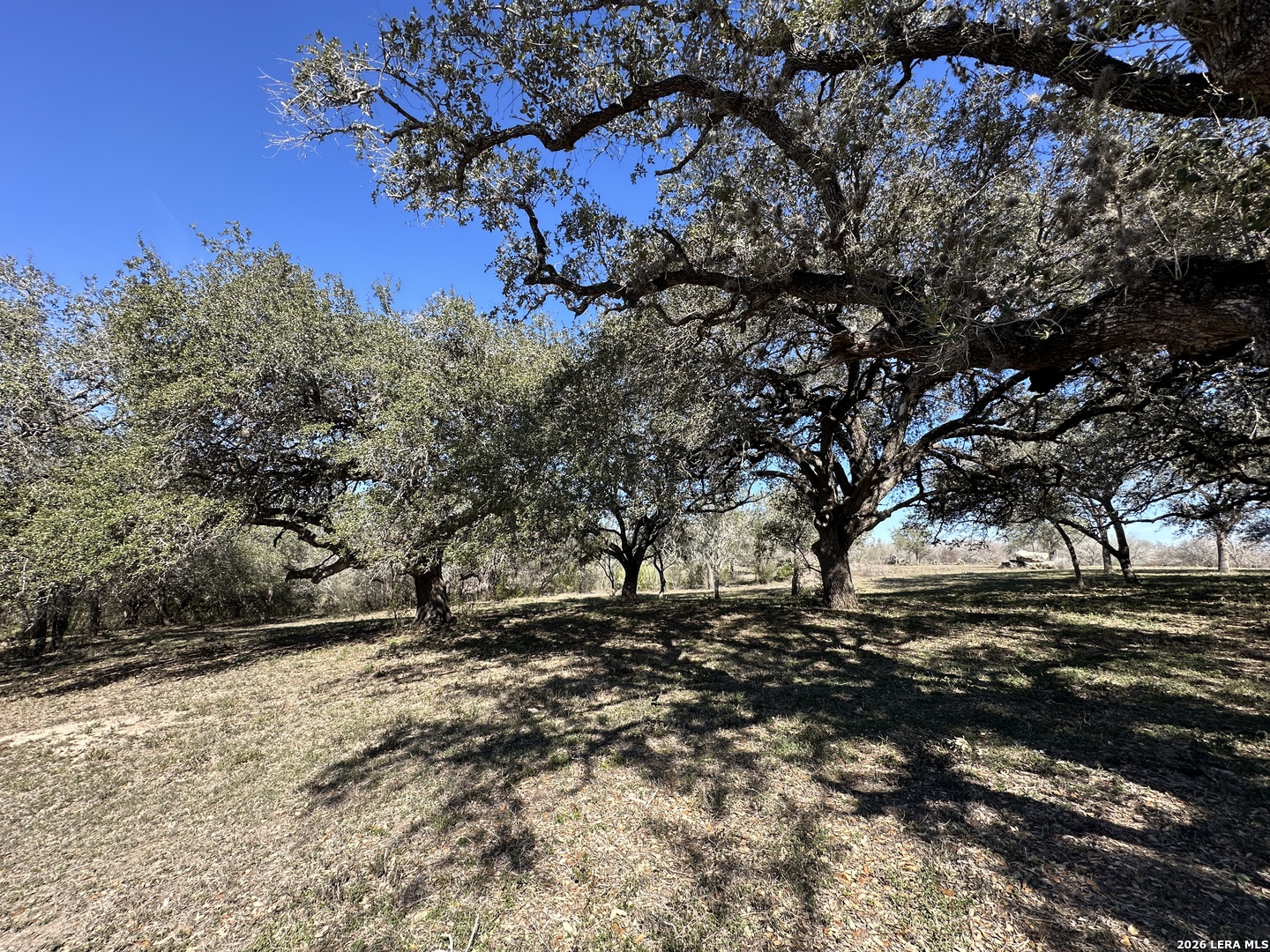 Tbd Highway 181 Beeville TX 78102