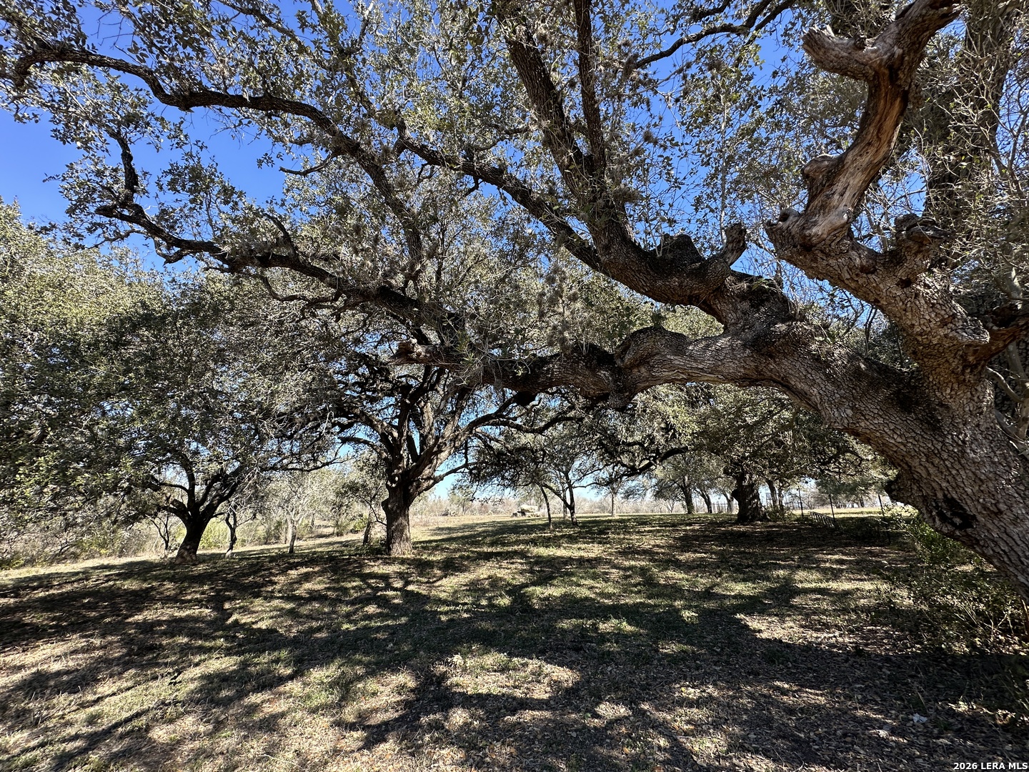 Tbd Highway 181 Beeville TX 78102