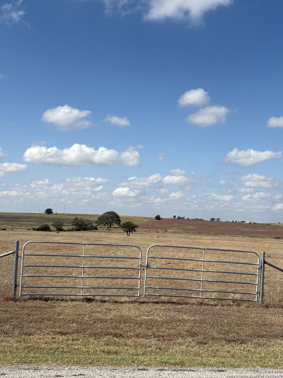 1271 Branch Road Geronimo TX 78155