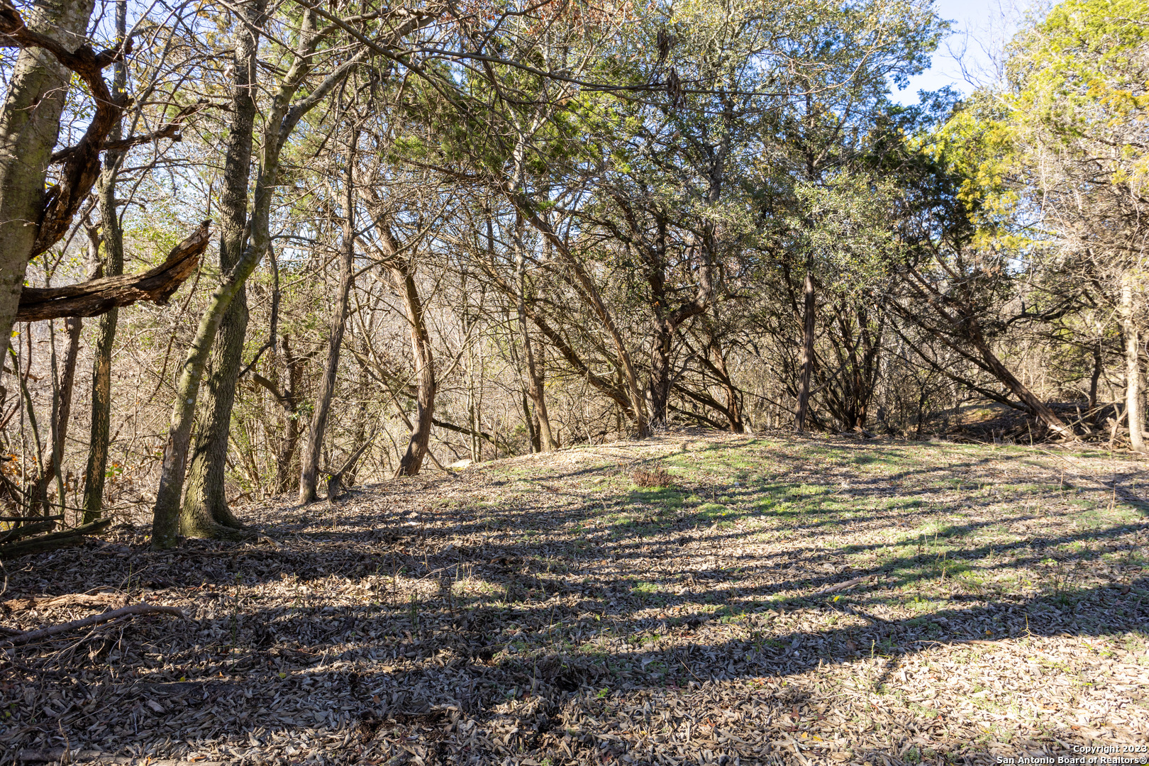 109 N Oak Bluff Boulevard Boerne TX 78006