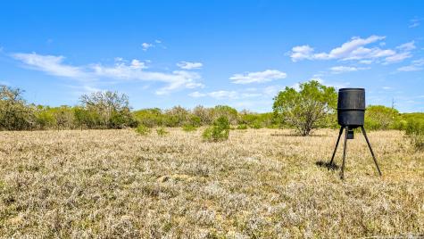 0 Fox Trotter Road Seguin TX 78155