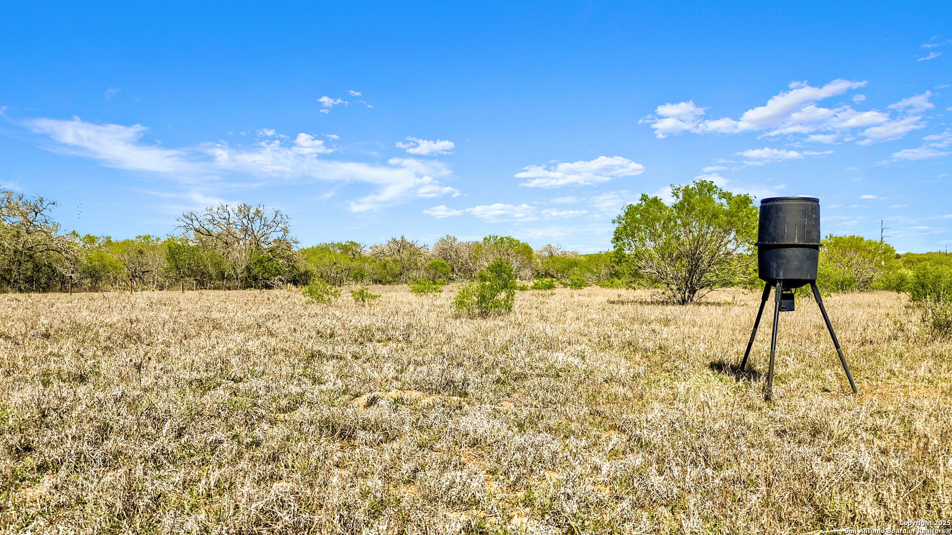 0 Fox Trotter Road Seguin TX 78155
