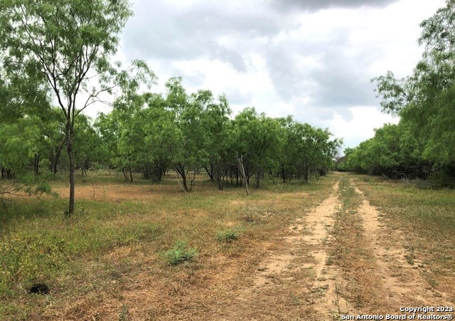 Tract A S Loop 1604 E San Antonio TX 78264